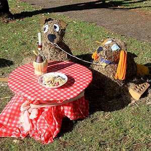 Tamborine Mountain Scarecrow Festival