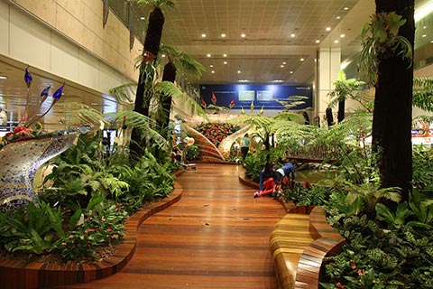 Changi Airport’s “Enchanted Garden”