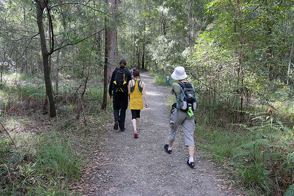 Maz, Emmi and Bronwen on the walk to Mount Ngungun