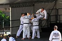 Moon Lee Taekwondo, Korean Multicultural Festival