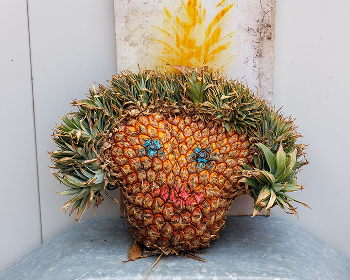 The Pineapple, Jungle Love Festival 2022