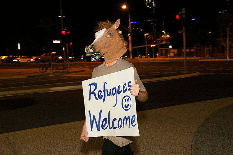 A horse says refugees are welcome