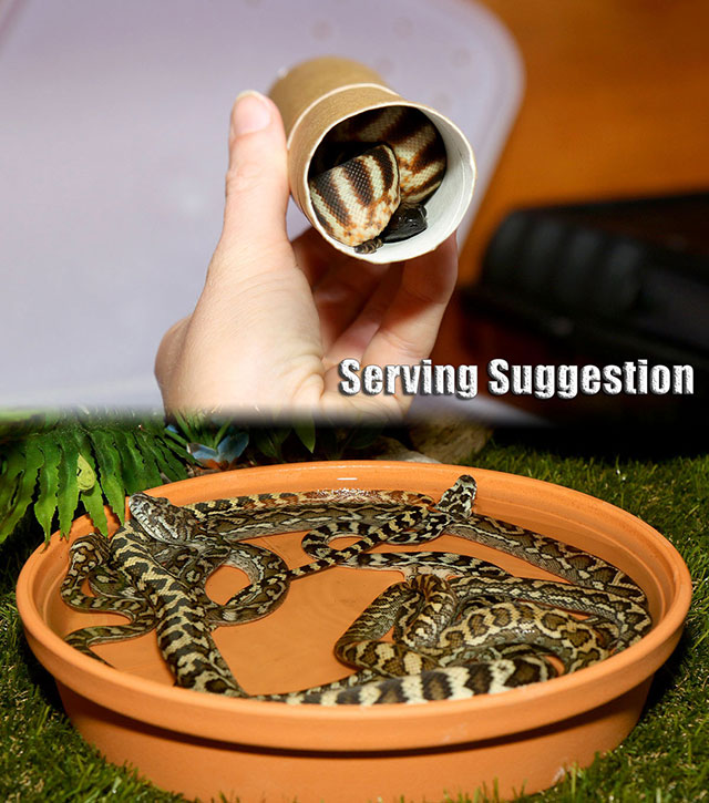 Serving suggestion: Delicious snakes