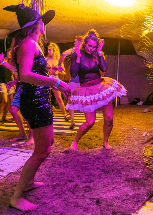 Daddy Long Legs, Micro Island Vibe Festival, Stradbroke Island