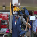 Scarecrows at Tamborine Mountain Scarecrow Festival