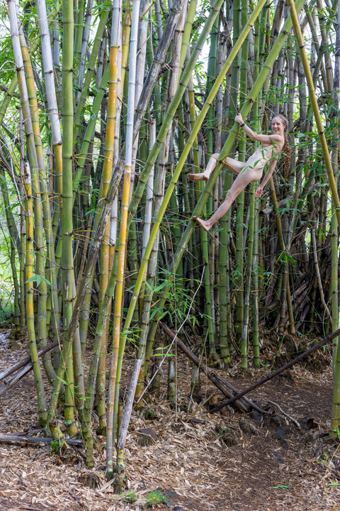 Bronwen climbing bamboo naked, Enoggera Reservoir