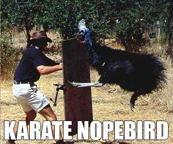 Karate Nopebird: Accurate Animal Names: Australian Edition