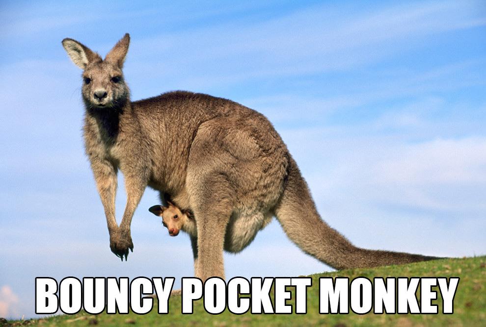 Bouncy Pocket Monkey: Accurate Animal Names: Australian Edition