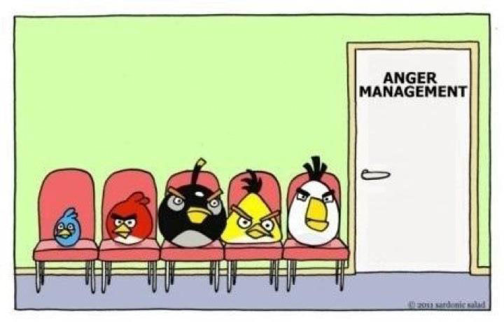 Angry birds attend anger management