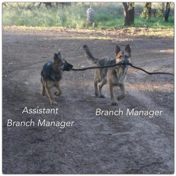 The Branch Manager and the Assistant Branch Manager