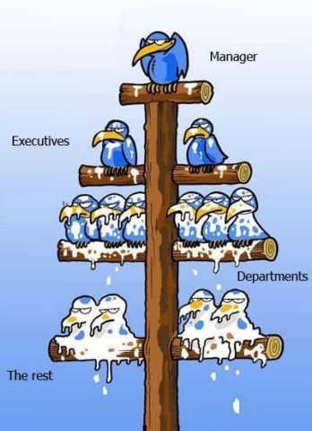 General Hierarchical Management Structure