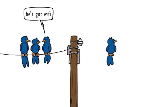 Three birds sitting on a wire, a fourth sitting in mid air. He’s got wifi.
