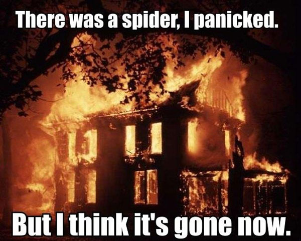 There was a spider, I panicked. But I think it’s gone now.