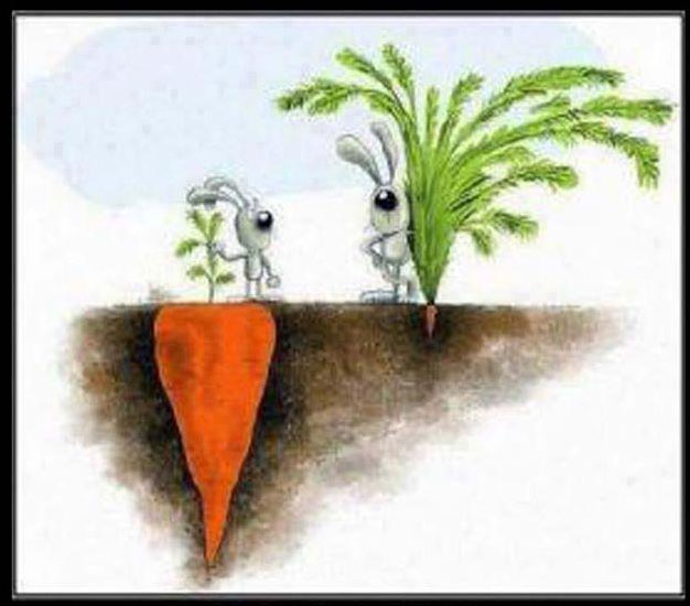 Success is not always what you see