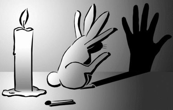 What rabbits do when humans go out…