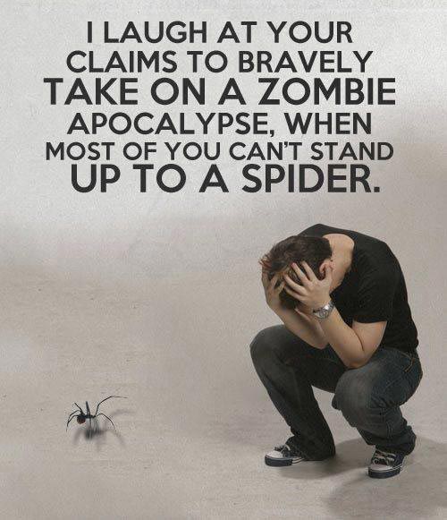 I laugh at your claims to bravely take on a zombie apocalypse, when most of you can’t stand up to a spider.