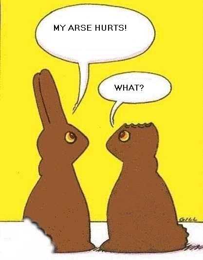 Two chocolate rabbits, one missing ears, one missing its arse. Says the one missing its arse, “My Arse Hurts!” Replies the one with no ears, “What?”