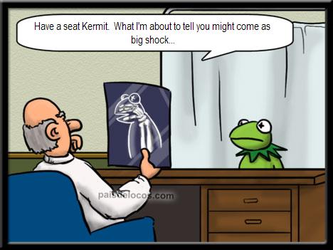 Kermit the frog at the doctors