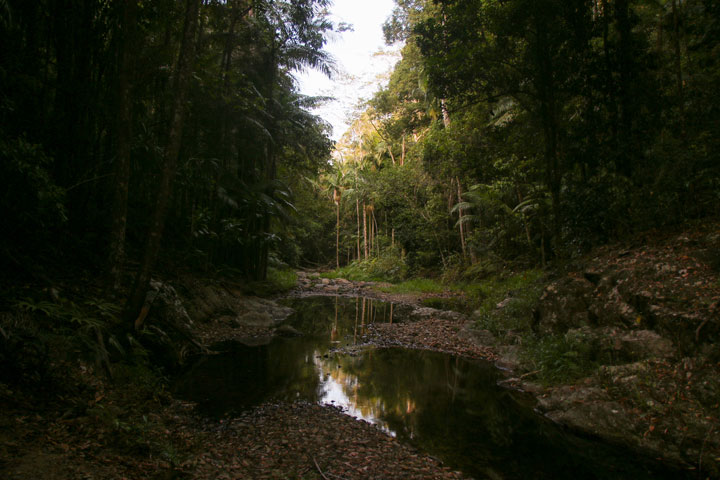 Cougal Cascades, Currumbin