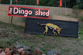 The Dingo Shed
