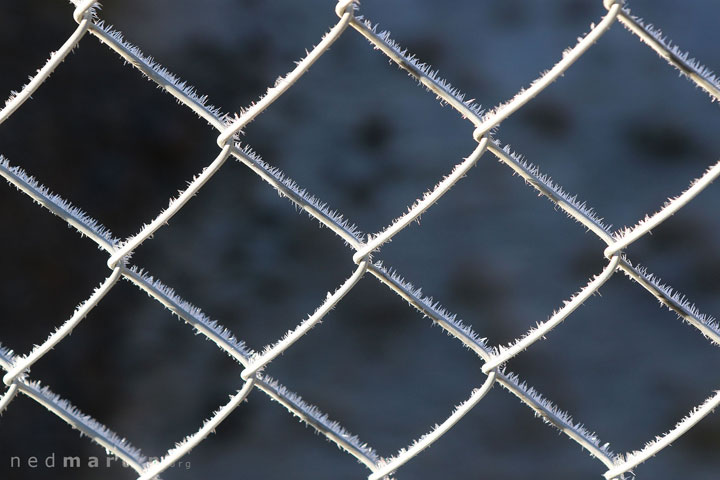 Frost, Tooma Reservoir, Snowy Mountains