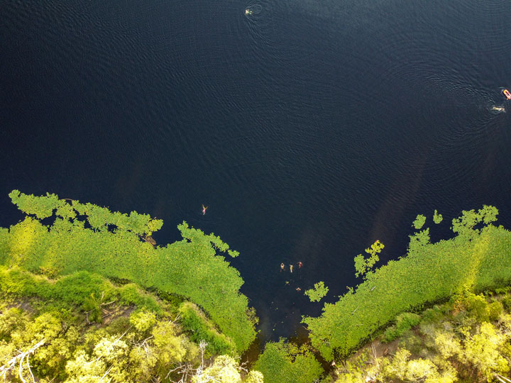 Enoggera Reservoir