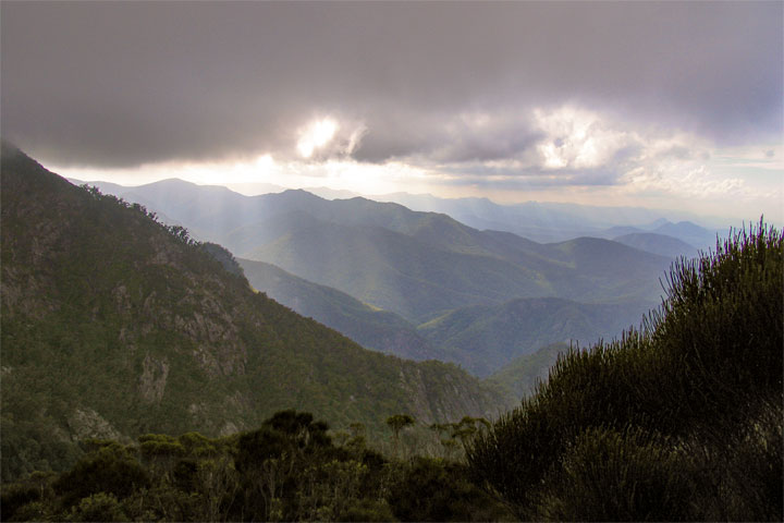 Bushwalk up Mt Barney  via South (Peasant's) Ridge