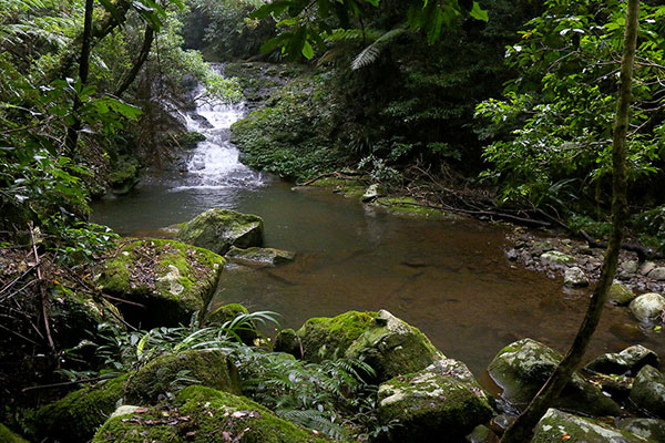 A cascade rolls into a rock pool