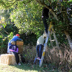 Tamborine Mountain Scarecrow Festival