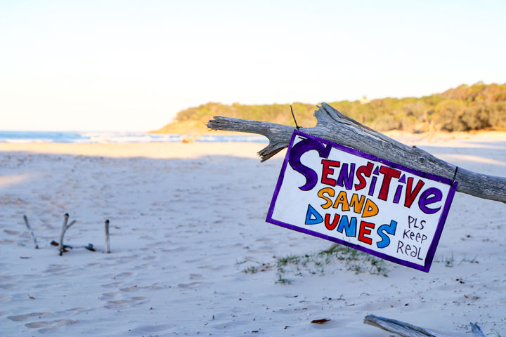 “Sensitive Sand Dunes. Pls Keep Real”, Island Vibe Festival