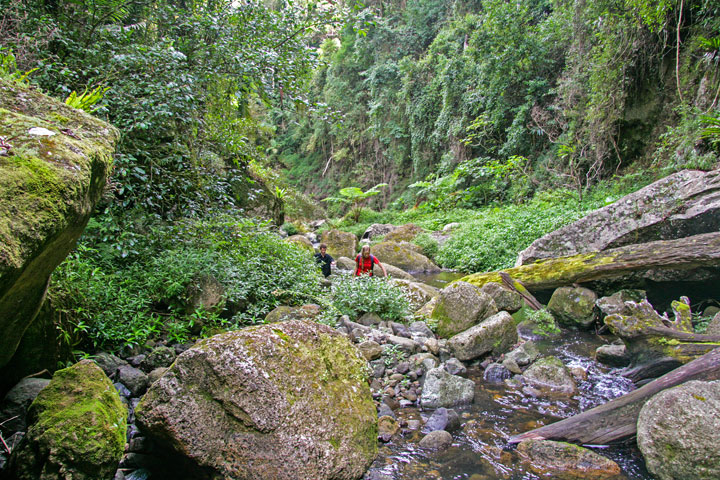 Eddie, Bronwen, Coomera Gorge