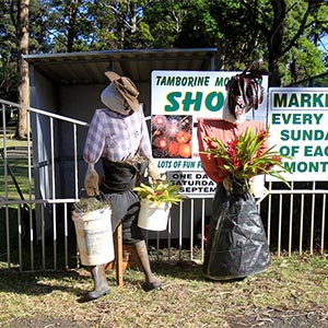 Tamborine Mountain Scarecrow Festival