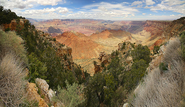 The Grand Canyon