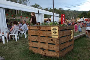 The Amazing Woodford Folk Festival