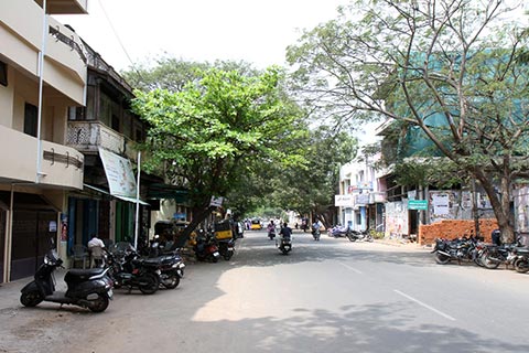One of the wide, leafy streets in Pondicherry