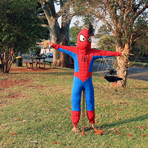 Mount Tamborine Scarecrows