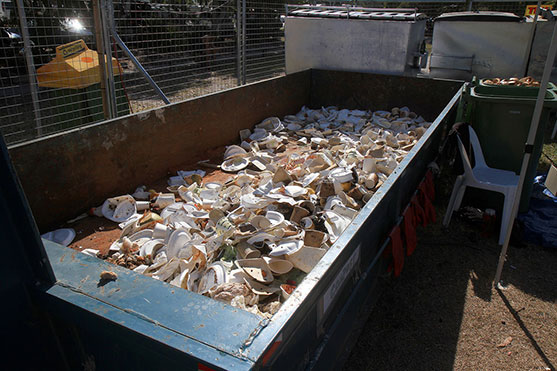 Compost in the Sustainability Department