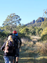 Walking towards Flinder’s Peak