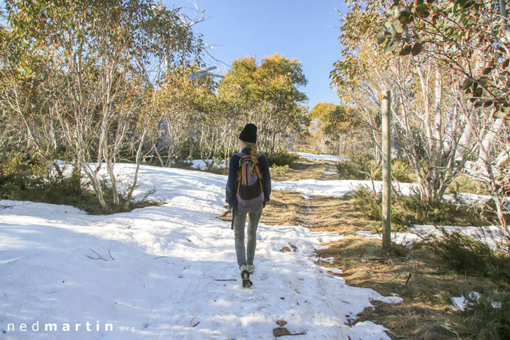 Bronwen, Walking to Four Mile Hut, Selwyn Snow Resort, Snowy Mountains