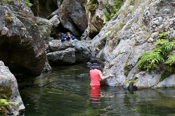 Bronwen wading through the water