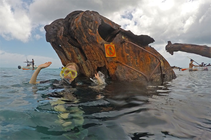 Bronwen, Snorkelling at Tangalooma Wrecks on Moreton Island