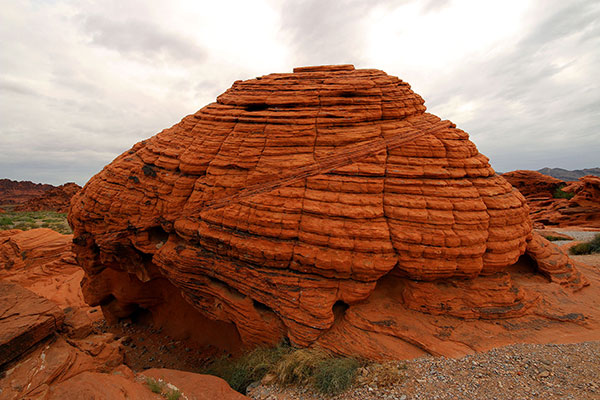 Valley of Fire Beehives