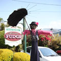 Scarecrows at Tamborine Mountain Scarecrow Festival