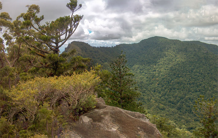 The view from the top of Mt Steamer