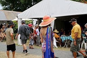 Bronwen watches the festival go past