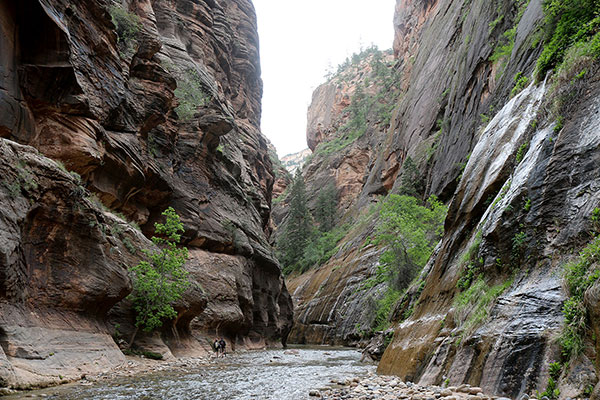 Walking into “The Narrows”