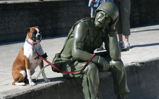 Sculpture by the Sea