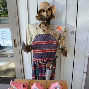 Tamborine Mountain Scarecrow Festival