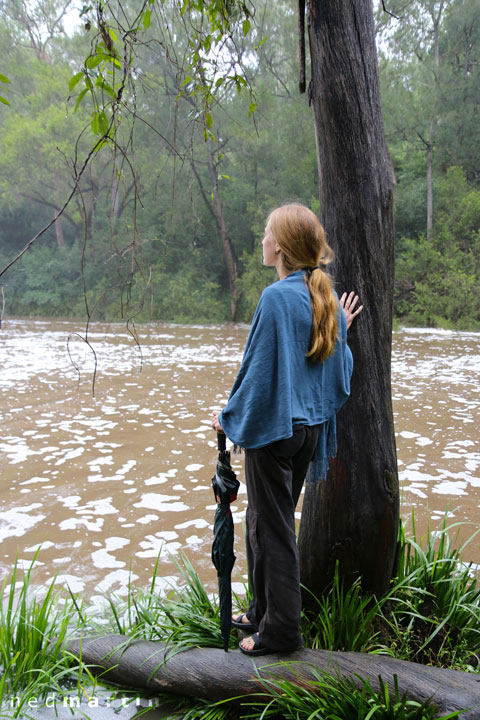 Bronwen, Tooloom Falls, Urbenville, NSW