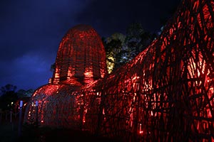 The Amazing Woodford Folk Festival